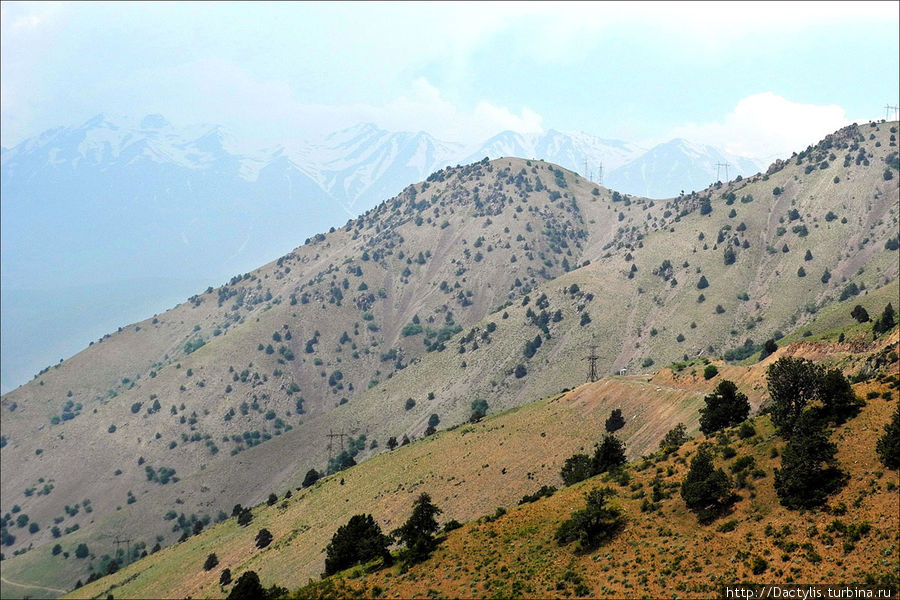 Перевал Камчик, высота около 2000 м Фергана, Узбекистан