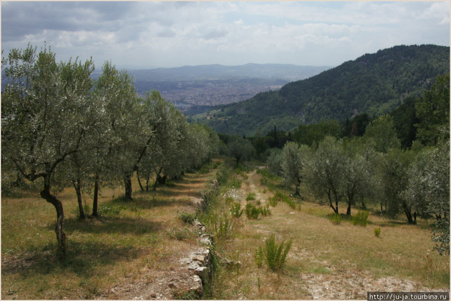 Улочки и оливковые рощи Фьезоле