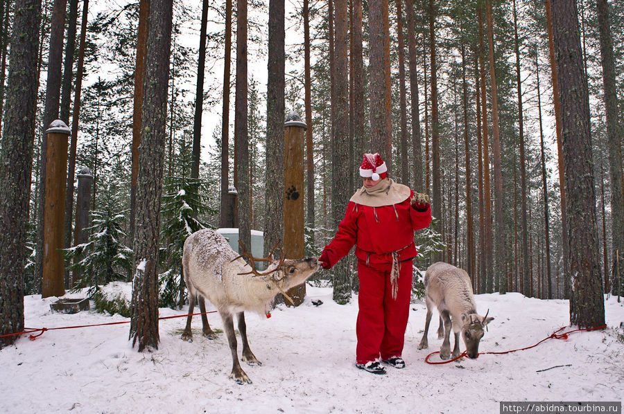 Гномик с оленями указывает дорогу Кухмо, Финляндия