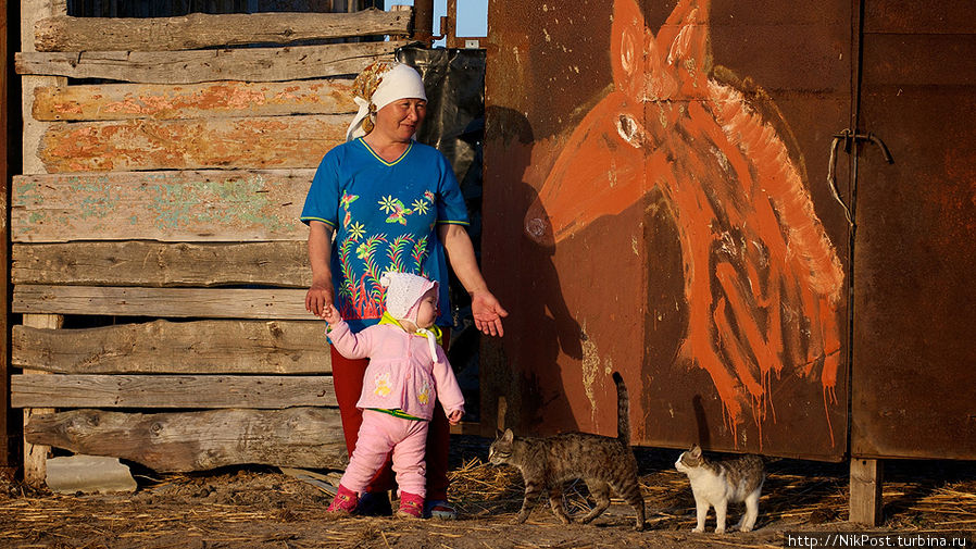 «Портрет красного коня». Произведение местного живописца.  Зарисовка из жизни поселка Забурунье Атырауская область, Казахстан