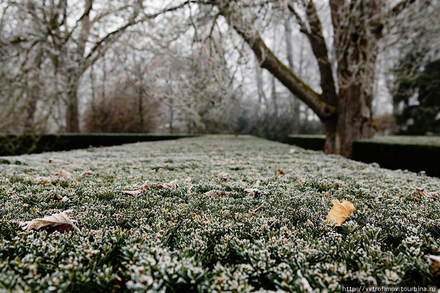 Новая зима в старом парке Чешский Крумлов, Чехия