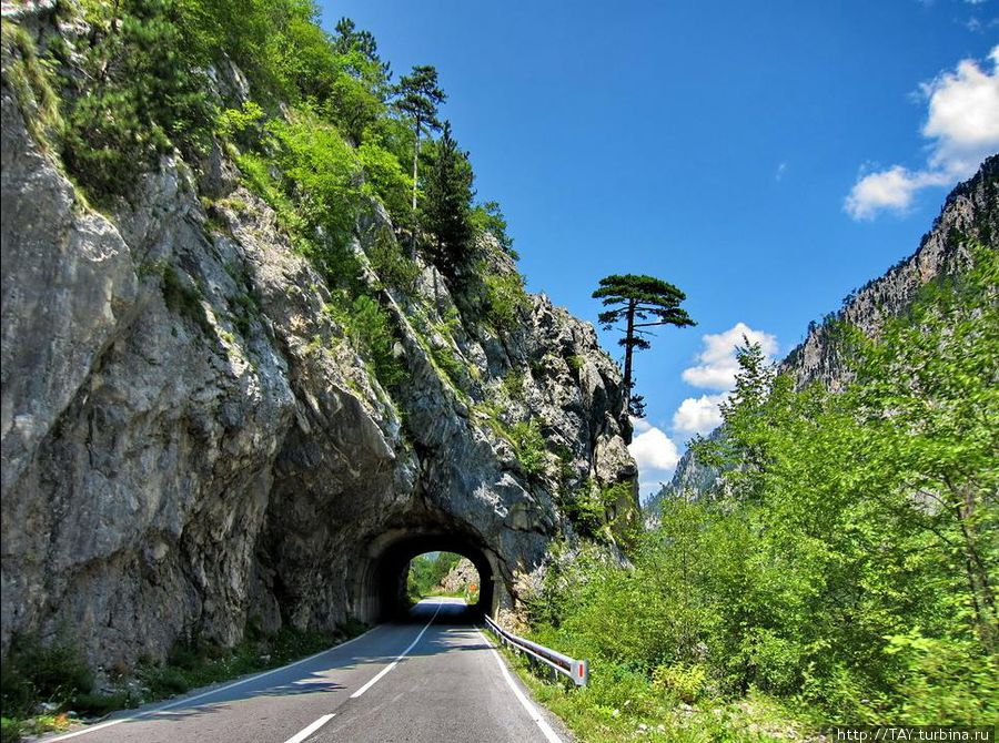 Дорога по каньону Тары Жабляк, Черногория