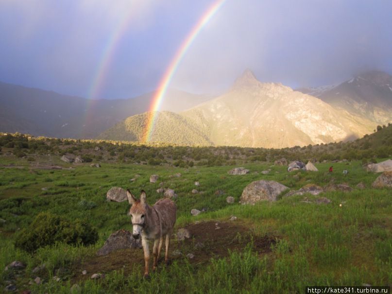 Как я провела 2011 год Как я провела 2011 год