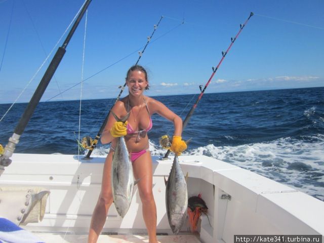 Как я провела 2011 год Как я провела 2011 год