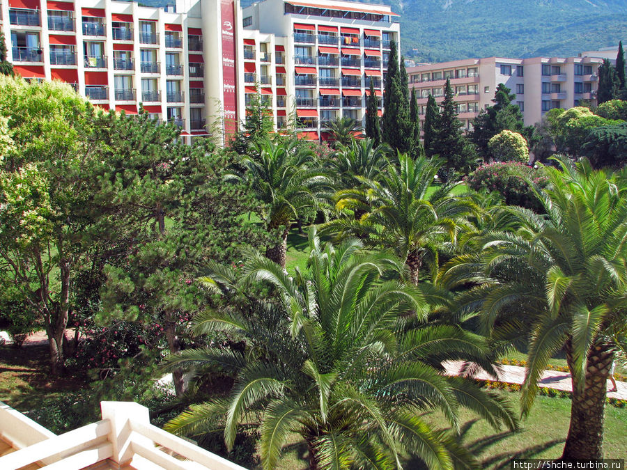 Отель представляет собою три больших корпуса Бечичи, Черногория
