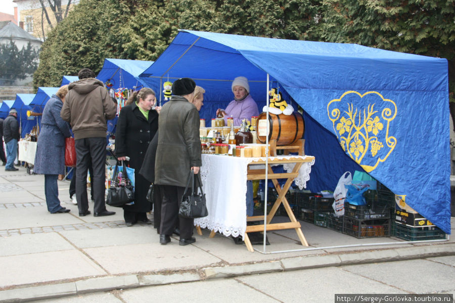 Закарпатское *Божоле Нуво* Ужгород, Украина