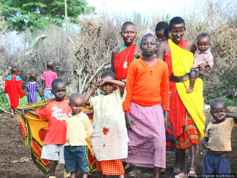 Глядя на эту фотографию, почему-то вспомнились слова из шуточной песенки: На лицо ужасные, добрые внутри.... Впрочем, она не про масаев. Масаи, напротив, отличаются внешней красотой и воинственностью Масаи-Мара Национальный Парк, Кения