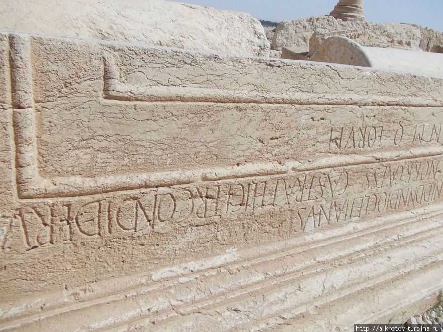древнеримские надписи Тадмур (Пальмира), Сирия