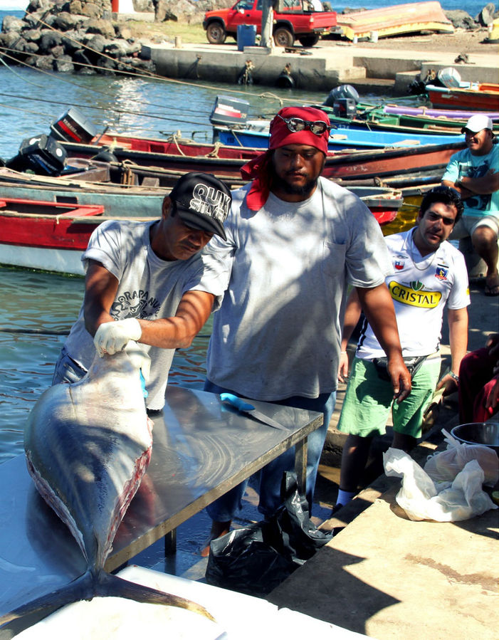 Рыбаки острова Пасхи