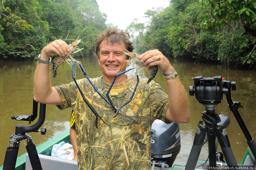 Эти речные креветки водятся прямо в этой реке, купив кг их только пойманных рыбаком устроили себе вкусный  завтрак Сепилок, Малайзия