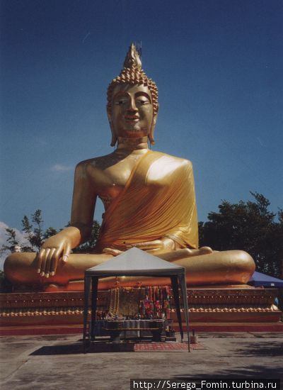 Ресторан “Beerfest” Таиланд Ресторан “Beerfest” Таиланд