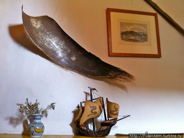 Китовый ус Ден-Бург, Нидерланды