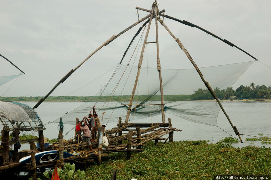 Китайскими рыболовными сетями орудуют на набережной в 6-7 утра, на рассвете. Кочи, Индия