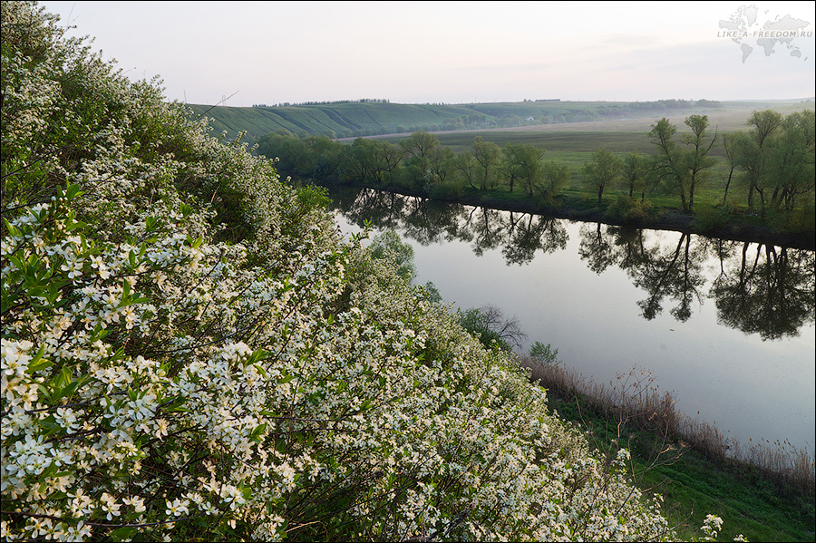 река Красивая Меча Липецкая область, Россия