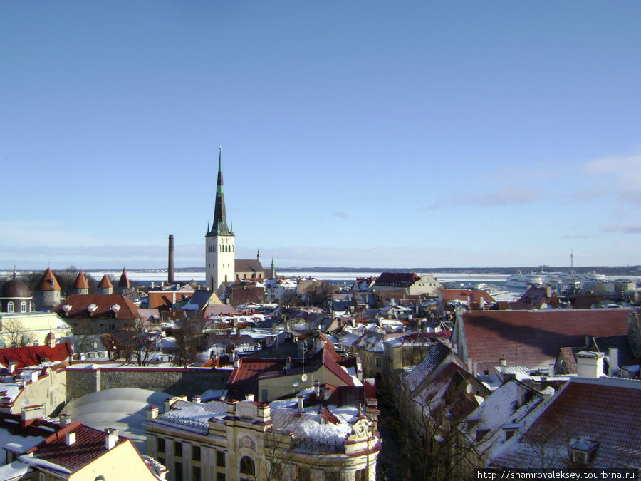 Лучший вид на черепичные крыши Старого Таллинна Таллин, Эстония