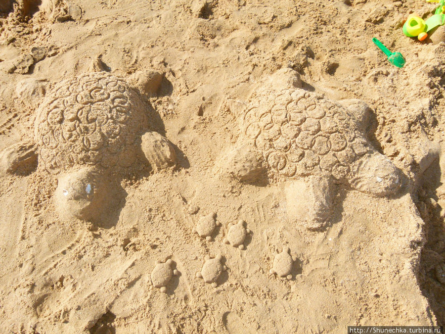 Полоска песка длинною в жизнь Регион Алгарве, Португалия