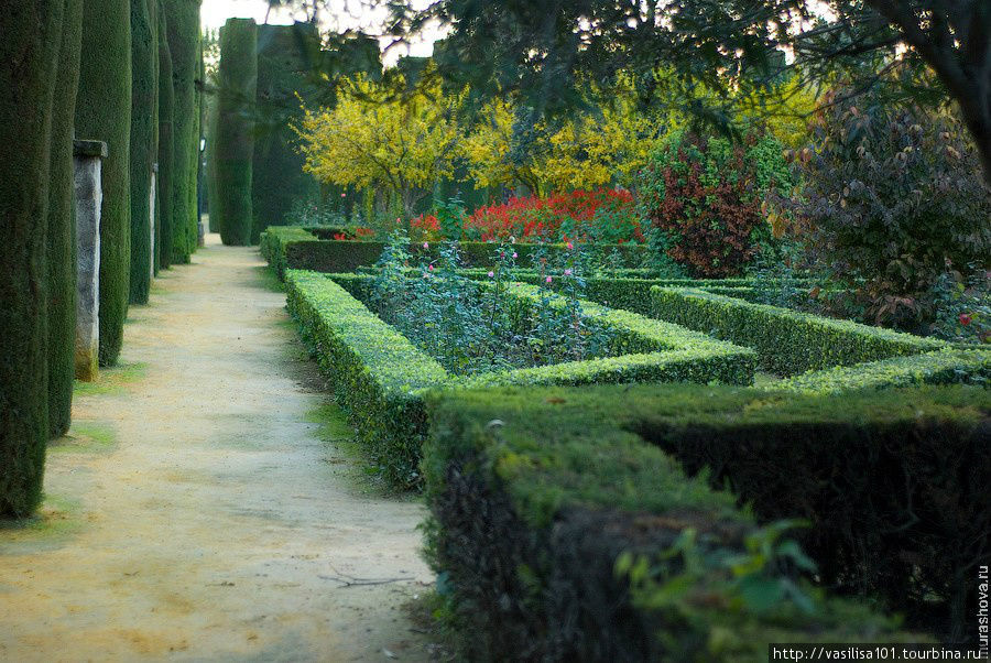 Романтика садов Алькасара в Кордове и ночной город Кордова, Испания