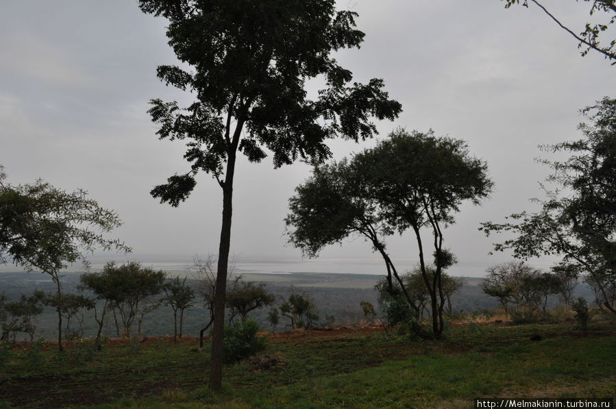 Вид из окна Национальный парк Озеро Маньяра, Танзания