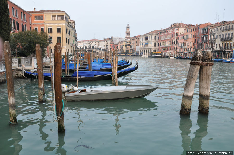 Стоянка у моста Риальто. Венеция, Италия