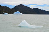 Айсберги медленно таяли, превращаясь в льдины и меняя цвет