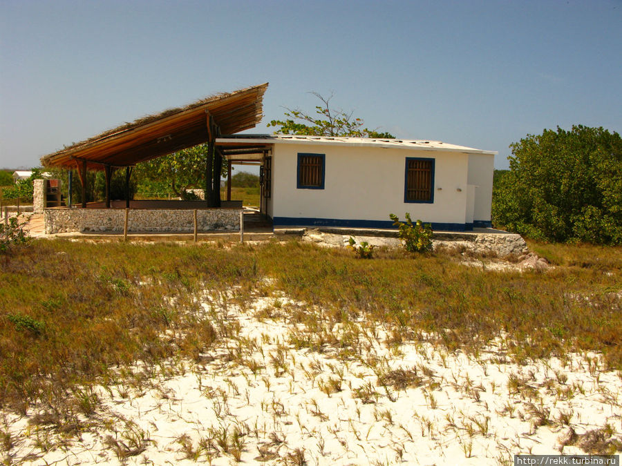 На островках построены домики, их можно недорого арендовать на несколько дней. Электричества нет, поэтому отдых получается наиболее полным Архипелаг Лос-Рокес, Венесуэла