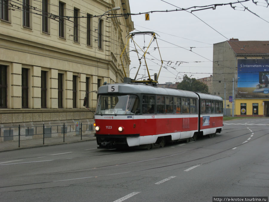 Трамвай похож на наш Брно, Чехия