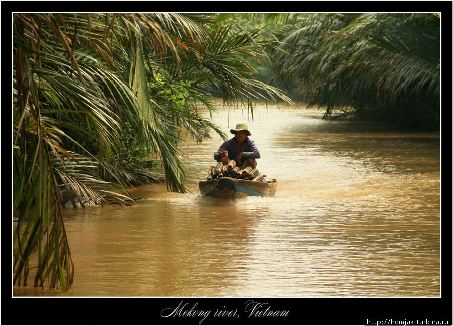 Когда плыли, у меня было ощущение, что за каждым кустом сидит крокодил... Хошимин, Вьетнам