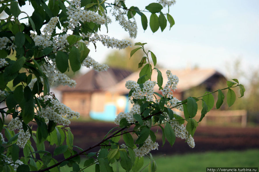 В краю молодых ветров и цветущих садов Мордовия, Россия