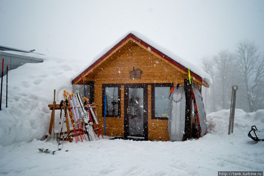 Пунк спасателей Пунк спасателей