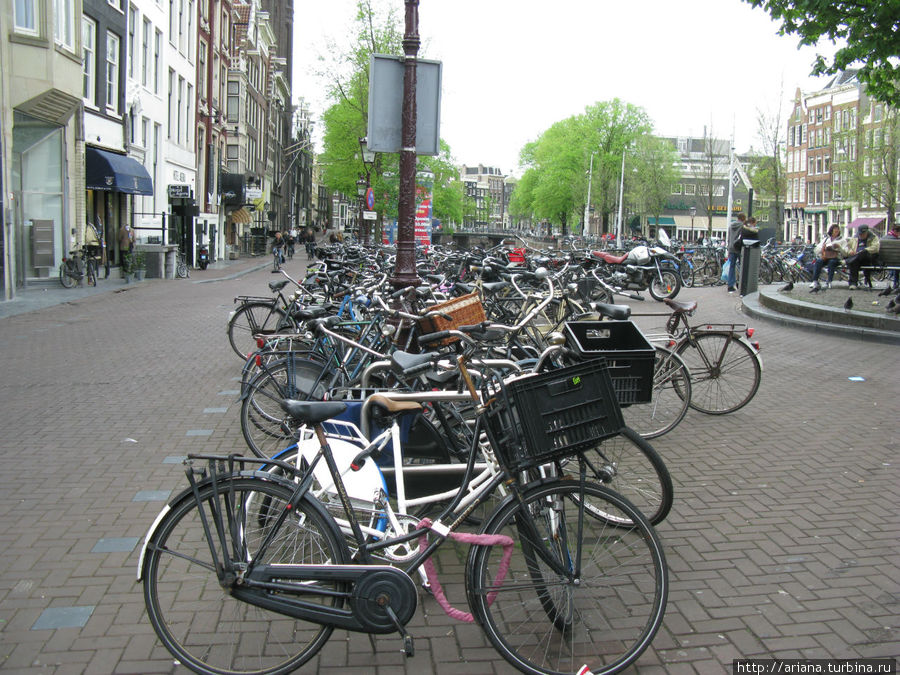 Резвый Амстердам Амстердам, Нидерланды