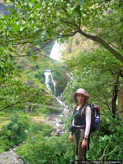 Трек вокруг Аннапурны:  от зеленых лугов к горному лесу Национальный парк Аннапурны, Непал