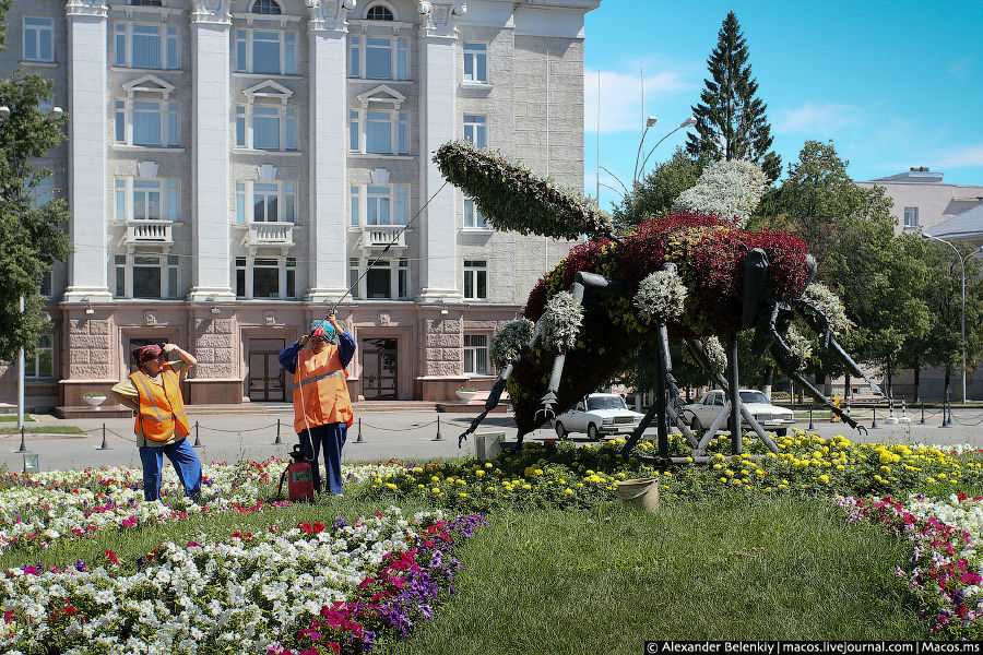 Башкирия славится своими пчеловодами. А это пчела, которую называют пщела. Кстати, предки Юрия Лужкова были из Башкирии — тут все об этом знают! Уфа, Россия Башкирия славится своими пчеловодами. А это пчела, которую называют пщела. Кстати, предки Юрия Лужкова были из Башкирии — тут все об этом знают! Уфа, Россия