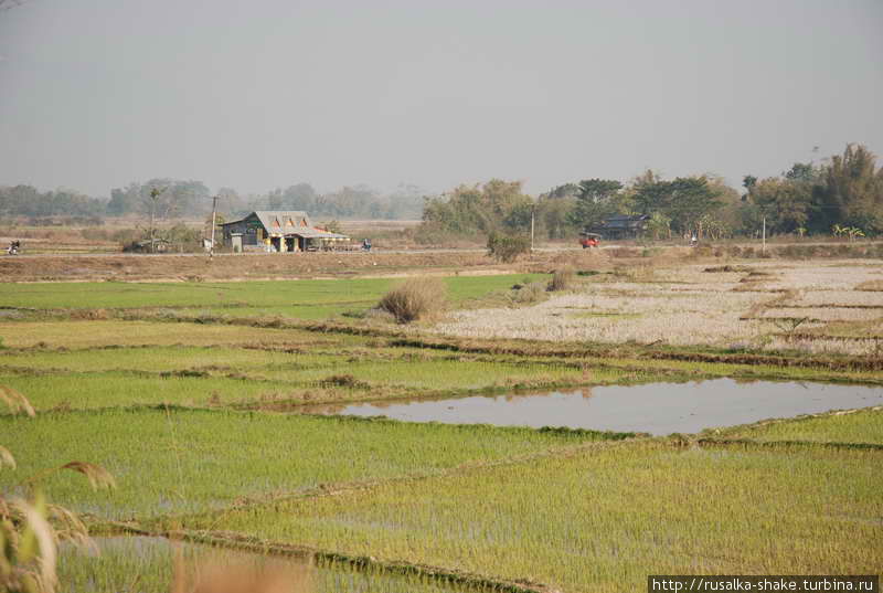 Город в дельте Иравади Пьяпон, Мьянма
