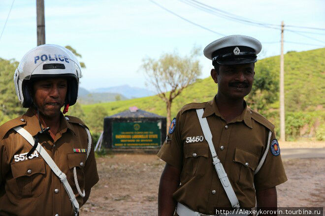 Двойная сплошная. Отпустили Двойная сплошная. Отпустили