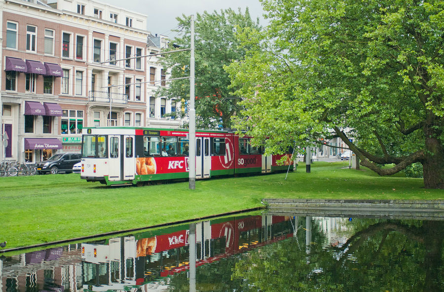 Трамвай носится по лужайке. Роттердам, Нидерланды