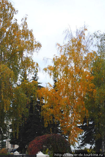 Зеленый, желтый, красный: золотая осень в Татарстане Казань, Россия