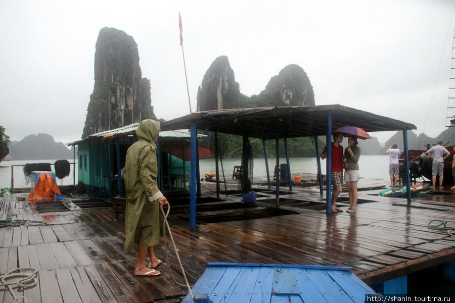 Бухта Халонг сквозь пелену дождя Халонг бухта, Вьетнам