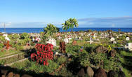 Кладбище острова Пасхи