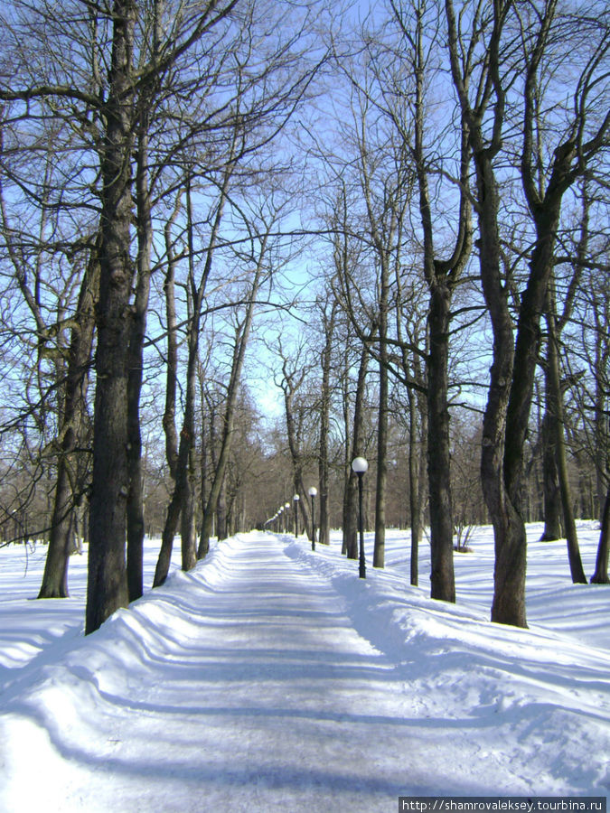 Парк Кадриорг под снегом Таллин, Эстония