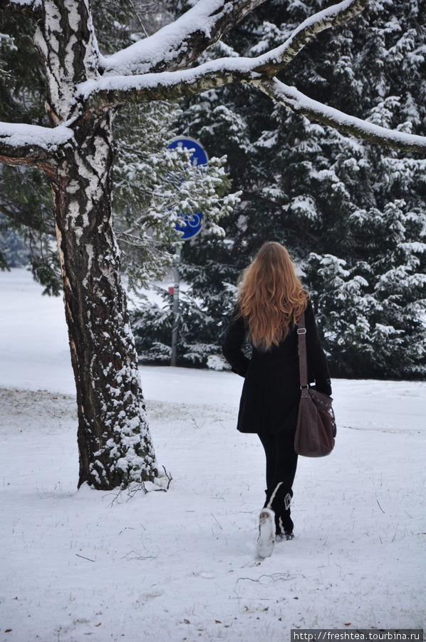 Тропим дорожки, минуя тротуары... Не каждый день можно в удовольствие снежком поскрипеть! Пьештяны, Словакия