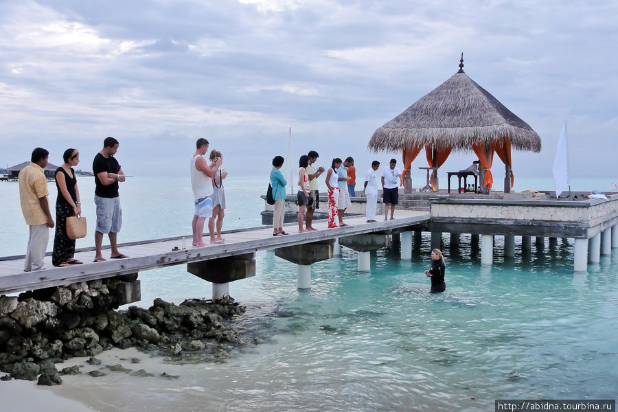 Кормление скатов в отеле Taj Exotica Мальдивские острова