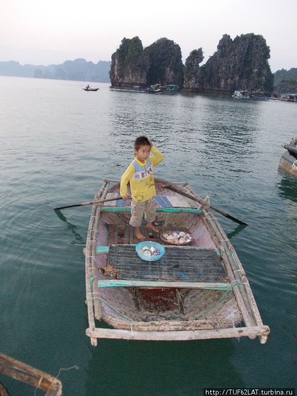 малец продает ракушки Халонг бухта, Вьетнам