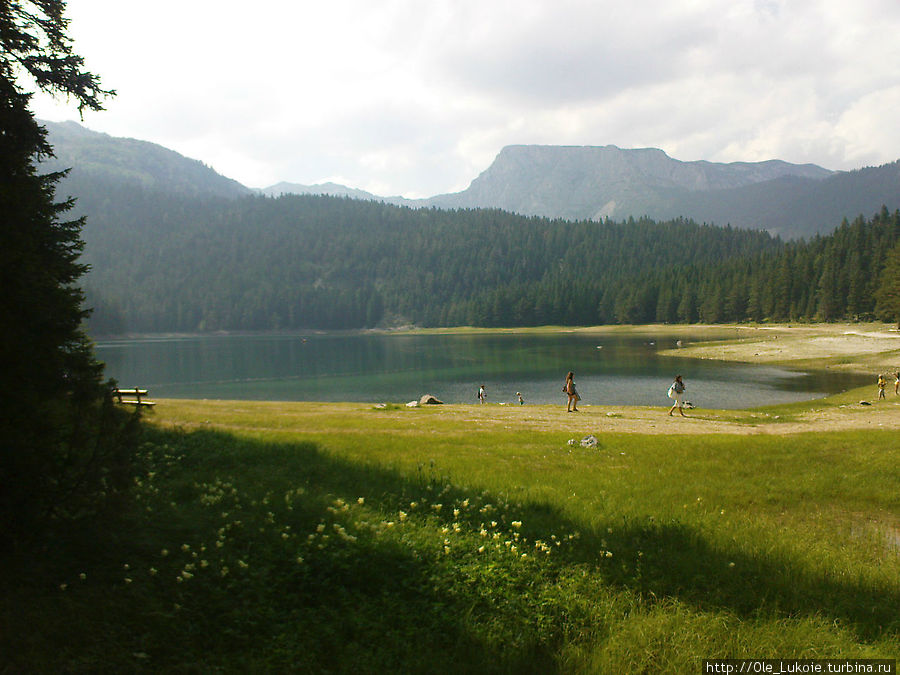 Национальный парк Дурмитор Будва, Черногория