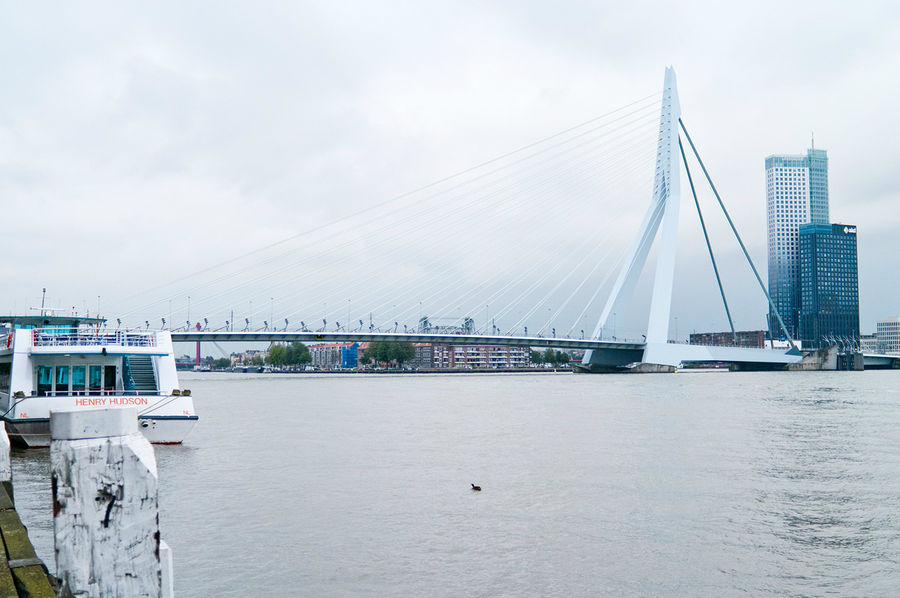 Мост Эразма. Роттердам, Нидерланды
