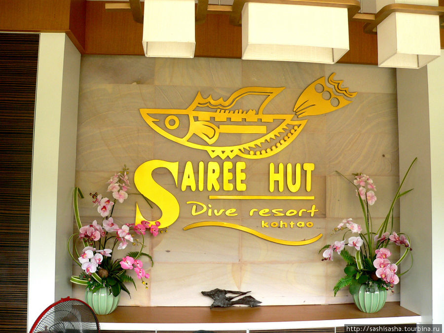 Sairee Hut Dive Resort Остров Тао, Таиланд