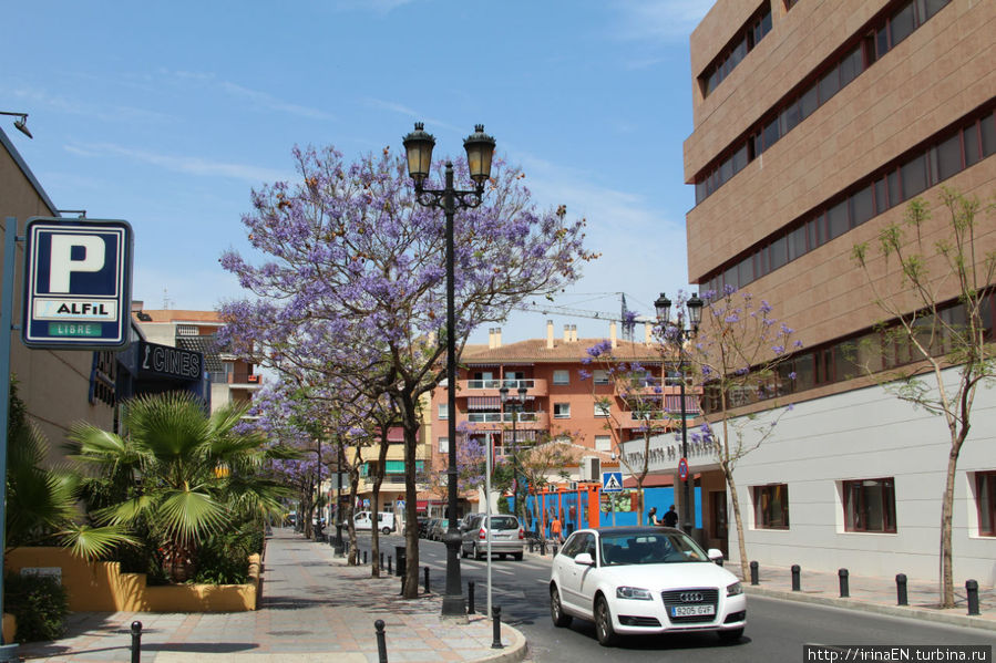 Улица, на которой находится биопарк Фуэнхирола, Испания