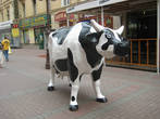 А это другая корова на Арбате. В начале Арбата открылось ещё одно кафе. (м. Арбатская) 
Фотографировала во время моего приезда в Москву в сентябре 2011 года