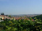 Прага с холма Петржин