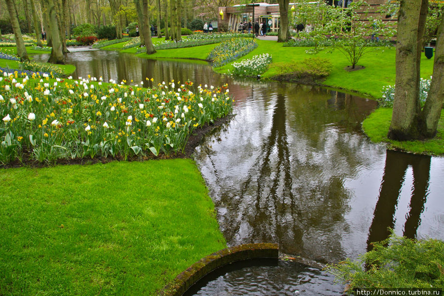 Если б я был тюльпан... Кёкенхоф, Нидерланды