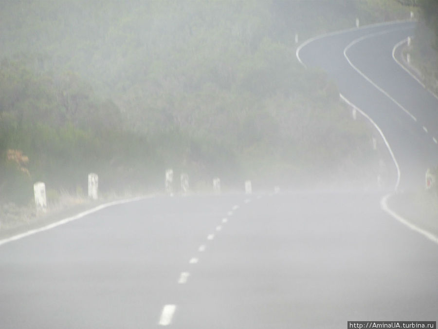 дорога проходит сквозь облака Фуншал, Португалия